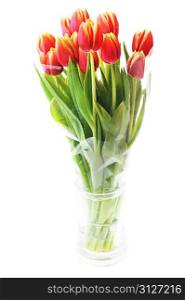 bouquet of many red tulips in glass vase