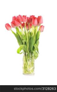 bouquet of many red tulips in glass vase