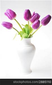 bouquet of many violet tulips in porcelain vase