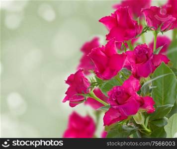 bouquet of mauve roses on green bokeh background