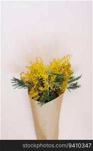 Bouquet of mimosa flowers in a craft bag on a white background with a copy space
