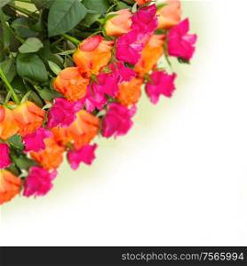 bouquet of multicolored roses isolated on white background