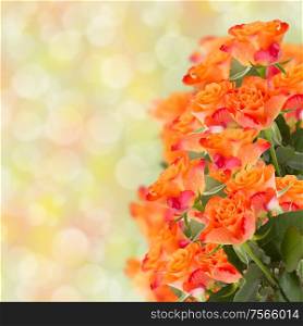 bouquet of multicolored roses on bokeh background