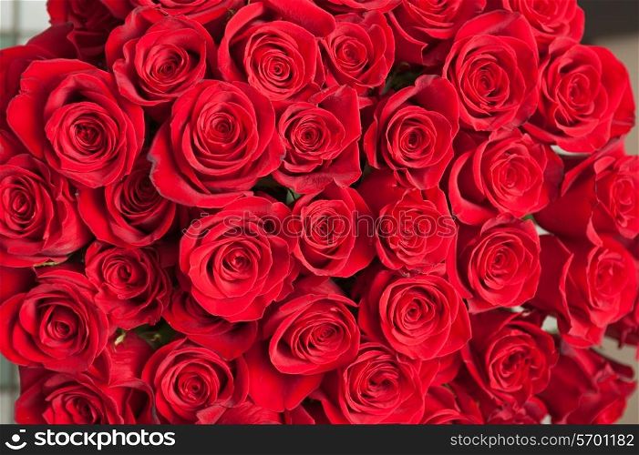 bouquet of natural roses background