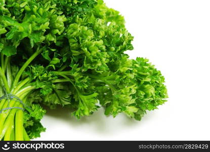 Bouquet of parsley isolated on white