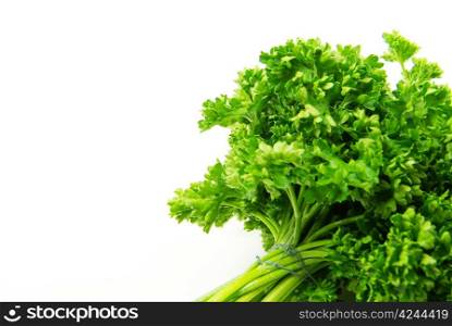Bouquet of parsley isolated on white