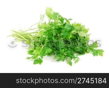 bouquet of parsley isolated on white background
