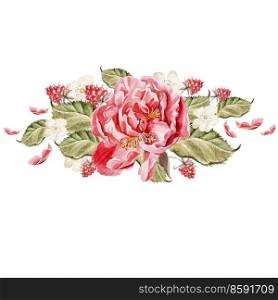Bouquet of peony flowers. Watercolor illustration. Bouquet of peony flowers.