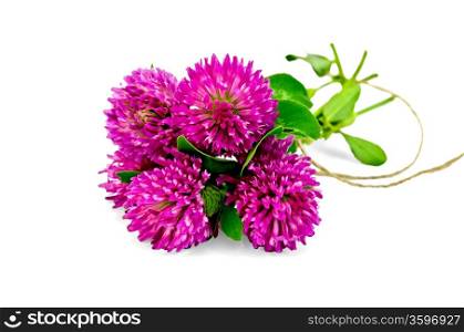 Bouquet of pink clover, tied with a rope isolated on white background