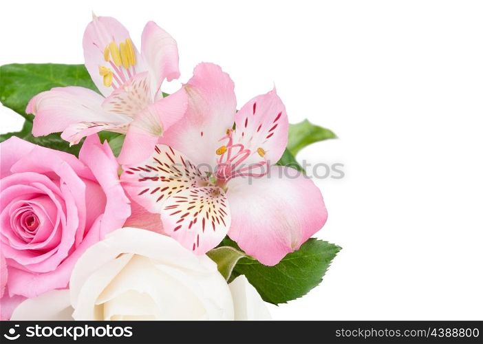 Bouquet of pink flowers isolated on a white background