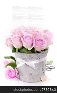 bouquet of pink roses in a pot on the white background