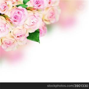 Bouquet of pink roses on pink background