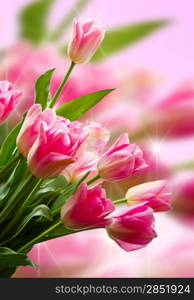 bouquet of pink tulip