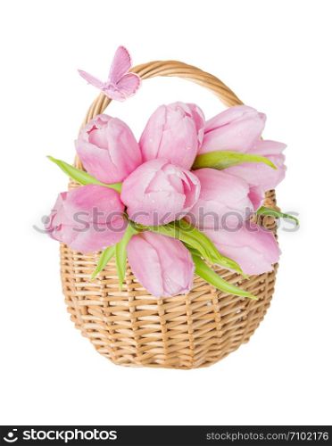 Bouquet of pink tulips flowers in wattled basket of natural wicker and pink butterfly, isolated on a white background,