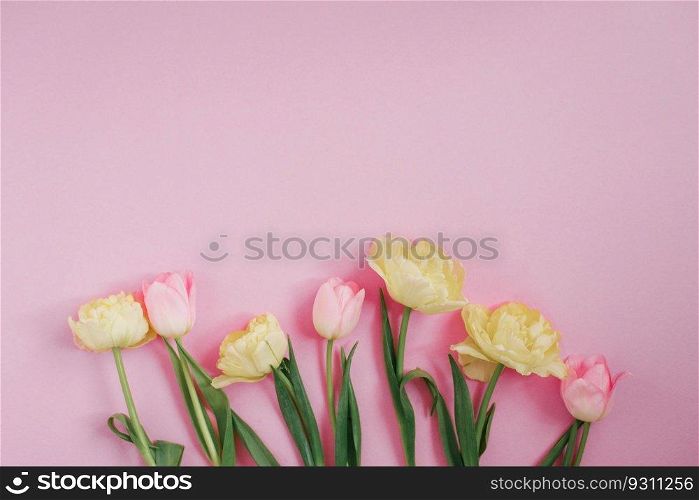 Bouquet of pink tulips on a pastel pink background. Holiday gift, greeting card for Easter, Birthday, Valentine’s Day. Copy space