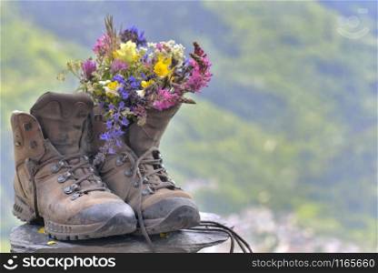 bouquet of pretty and colorful flowers put on hikings shoes on green mountain background