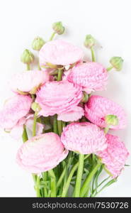 Bouquet of ranunculus flowers on white background closeup. Flat lay, top view scene.. Ranunculus flat lay composition