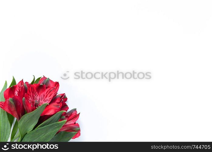 Bouquet of red flowers alstroemeria on white background. Flat lay. Horizontal. Mockup with copy space for greeting card, social media, flower delivery, Mother?s day, Women?s Day