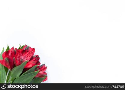 Bouquet of red flowers alstroemeria on white background. Flat lay. Horizontal. Mockup with copy space for greeting card, social media, flower delivery, Mother?s day, Women?s Day