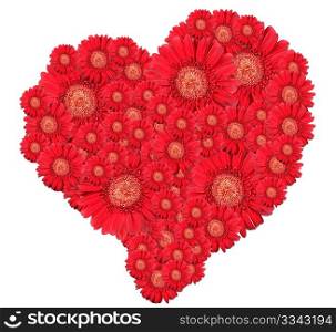 Bouquet of red flowers as heart-form. Isolated on white background. Close-up. Studio photography.