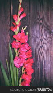 bouquet of red gladiolus on a brown wooden background