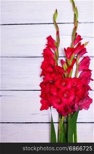 Bouquet of red gladiolus on white wooden background