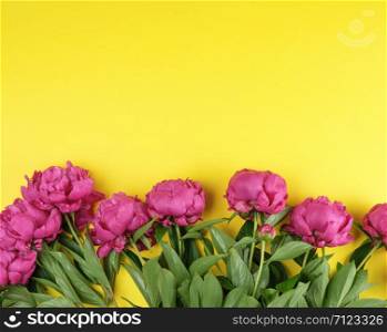 bouquet of red peonies with green leaves on a yellow background, top view, copy space