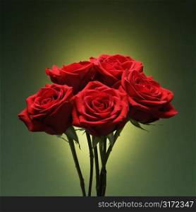 Bouquet of red roses against glowing green background.