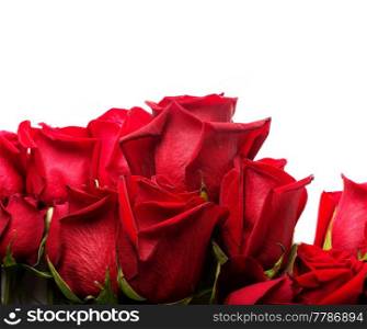 bouquet of red roses around white background