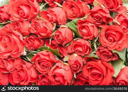 bouquet of red roses for romantic gift ore background