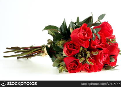 bouquet of red roses on white background