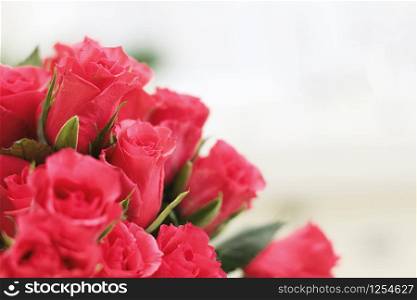 bouquet of red roses with green petals on a white background. space for text.