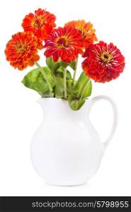bouquet of red zinnia flowers in a jar on white background