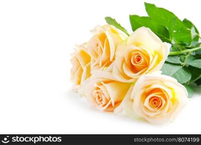 Bouquet of roses isolated on white