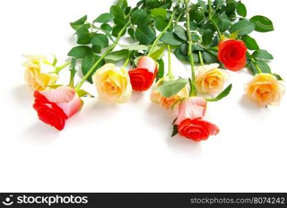 Bouquet of roses isolated on white
