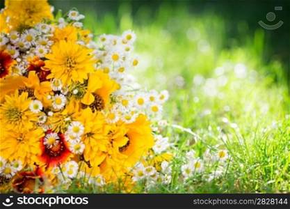 Bouquet of spring flowers lying on green grass