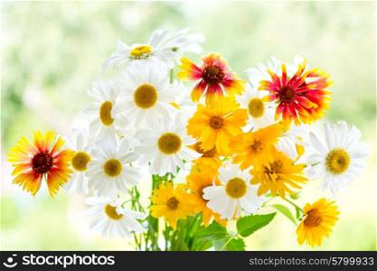 bouquet of summer flowers on green background