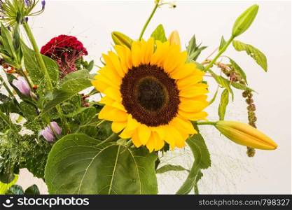 Bouquet of sunflowers at home. concept of natural and decoration. with white wall background. Bouquet of sunflowers at home. concept of natural and decoration.