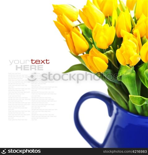 bouquet of the fresh tulips on white background (with easy removable text )