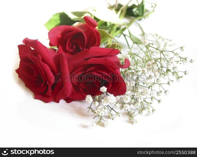 Bouquet of three red roses on white background