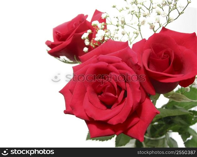 Bouquet of three red roses on white background, space for copy