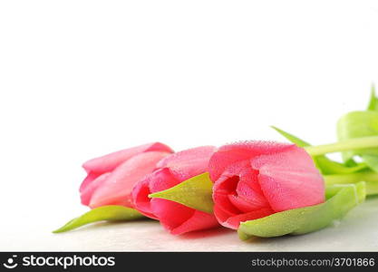 bouquet of three red tulips