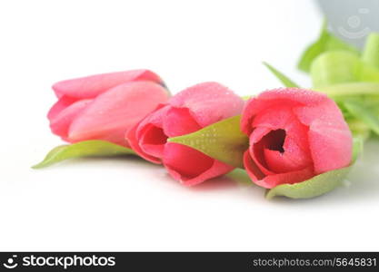 bouquet of three red tulips