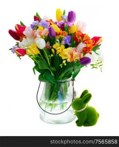 Bouquet of tulips and freesias close up isolated on white background. fresh tulips flowers