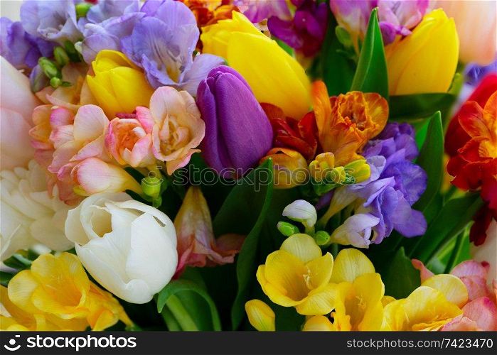 Bouquet of tulips and freesias flowers natural background close up. fresh tulips flowers