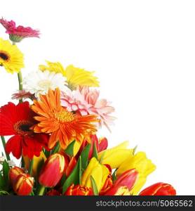 Bouquet of tulips and gerberas isolated on white background