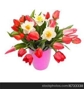 bouquet of tulips and narcissus flowers