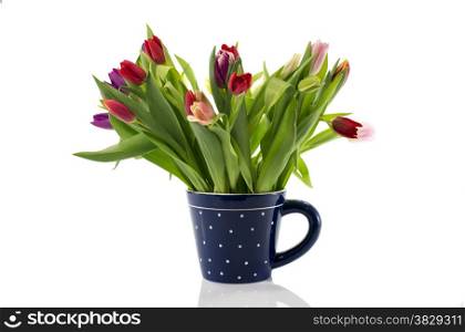 bouquet of tulips in blue coffe cup