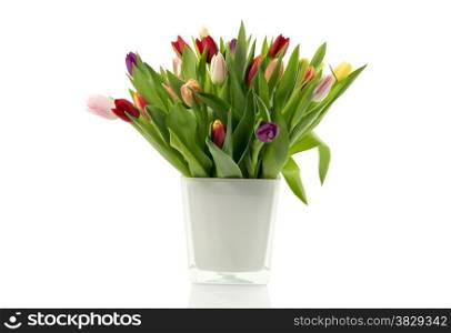 bouquet of tulips in white vase isolated