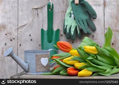 bouquet of tulips placed in front gardening tools on a wooden background